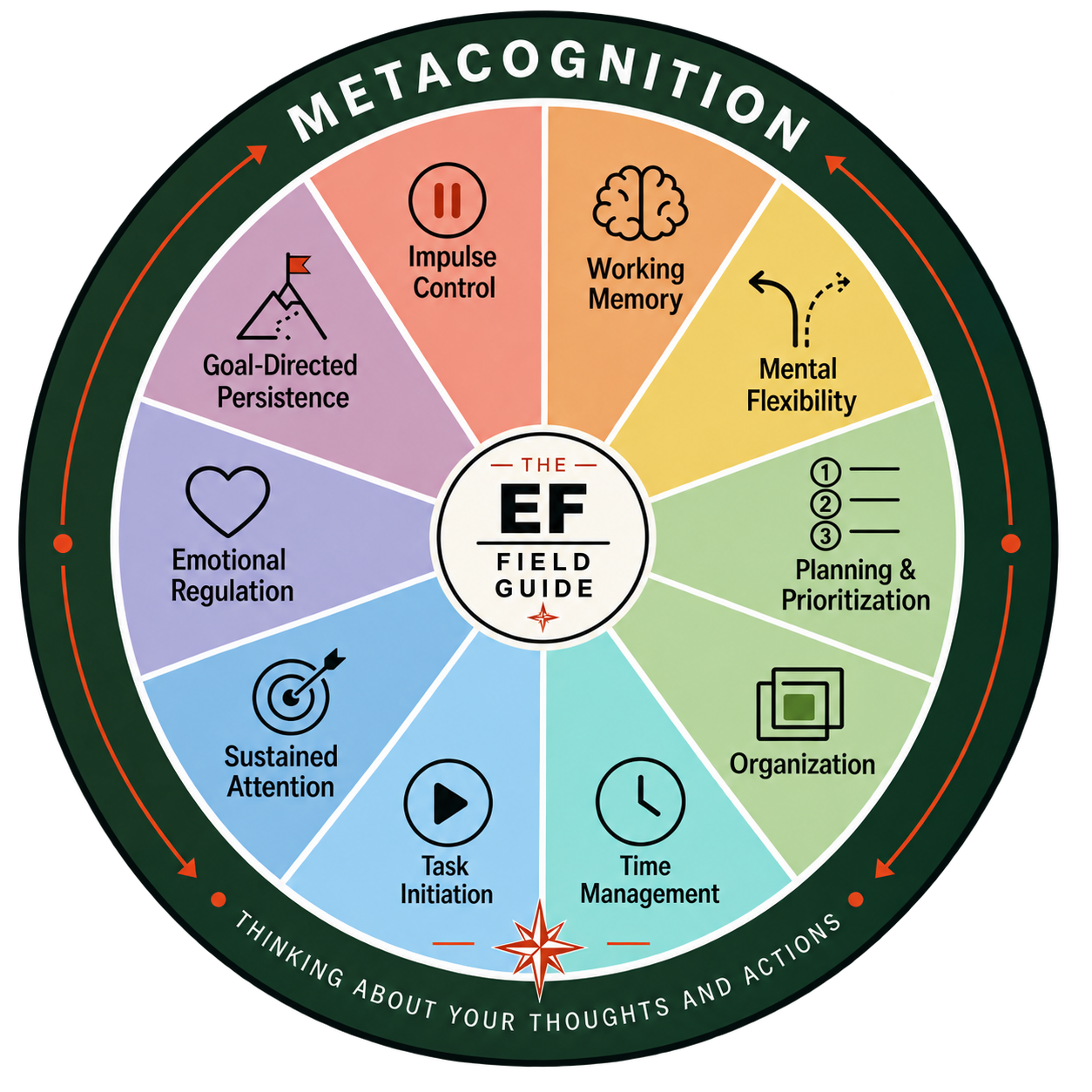 EF Wheel showing executive function areas